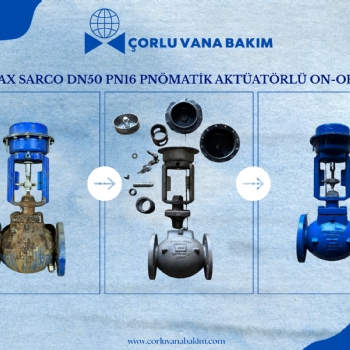 Spirax Sarco DN50 PN16