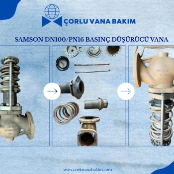 Samson DN100/PN16
