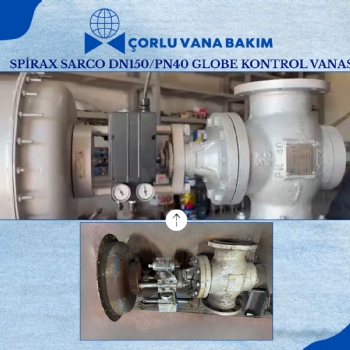 Spirax Sarco DN150/PN40