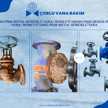 ARİ DN150/PN16 METAL KÖRÜKLÜ VANA/ BONETTİ DN100/PN16 DENGE PİSTONLU VANA/ BONETTİ DN65/PN16 METAL KÖRÜKLÜ VANA