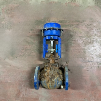 Spirax Sarco DN50 PN16