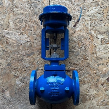 Spirax Sarco DN50 PN16