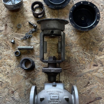 Spirax Sarco DN50 PN16